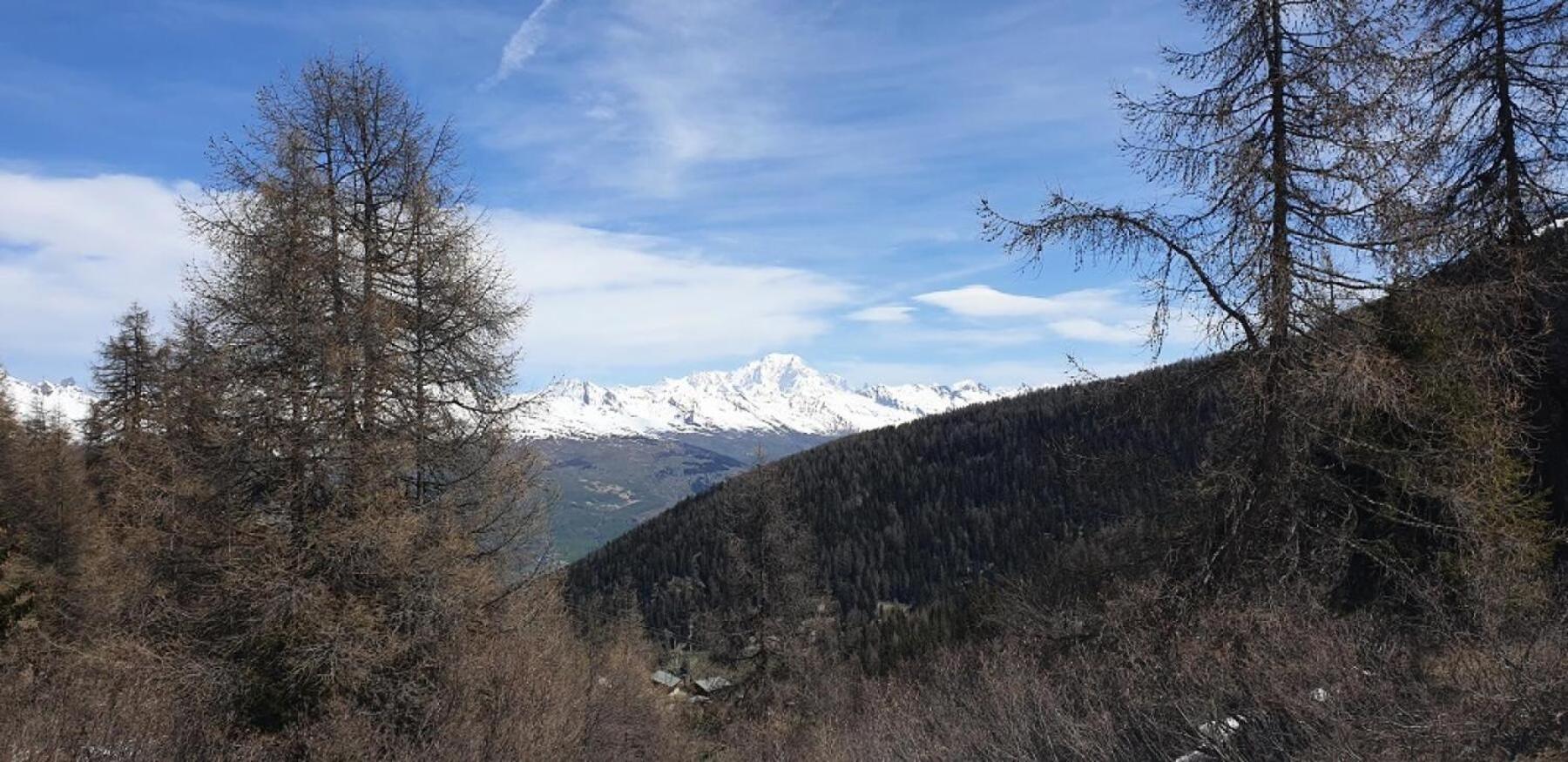 Residence Plagne Lauze - Maeva Home - Studio 2 Personnes - Selection Mae-9201 Macot-la-Plagne エクステリア 写真
